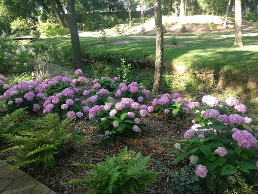 Botanical Garden «Botanical Gardens-Heritage Pk», reviews and photos, 411 Ball St, Grapevine, TX 76051, USA