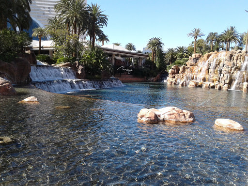 Luxury Hotel «Bellagio Hotel and Casino», reviews and photos, 3600 S Las Vegas Blvd, Las Vegas, NV 89109, USA
