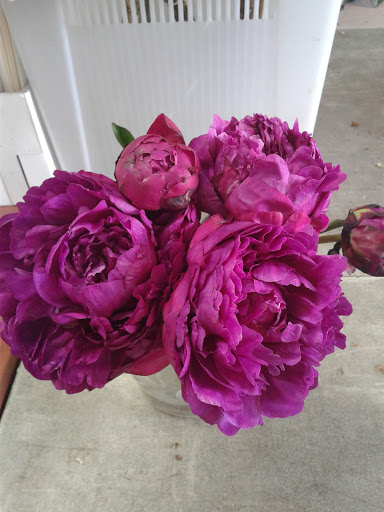 Florist «The Flower Place», reviews and photos, 860 NE 79th St, Miami, FL 33138, USA