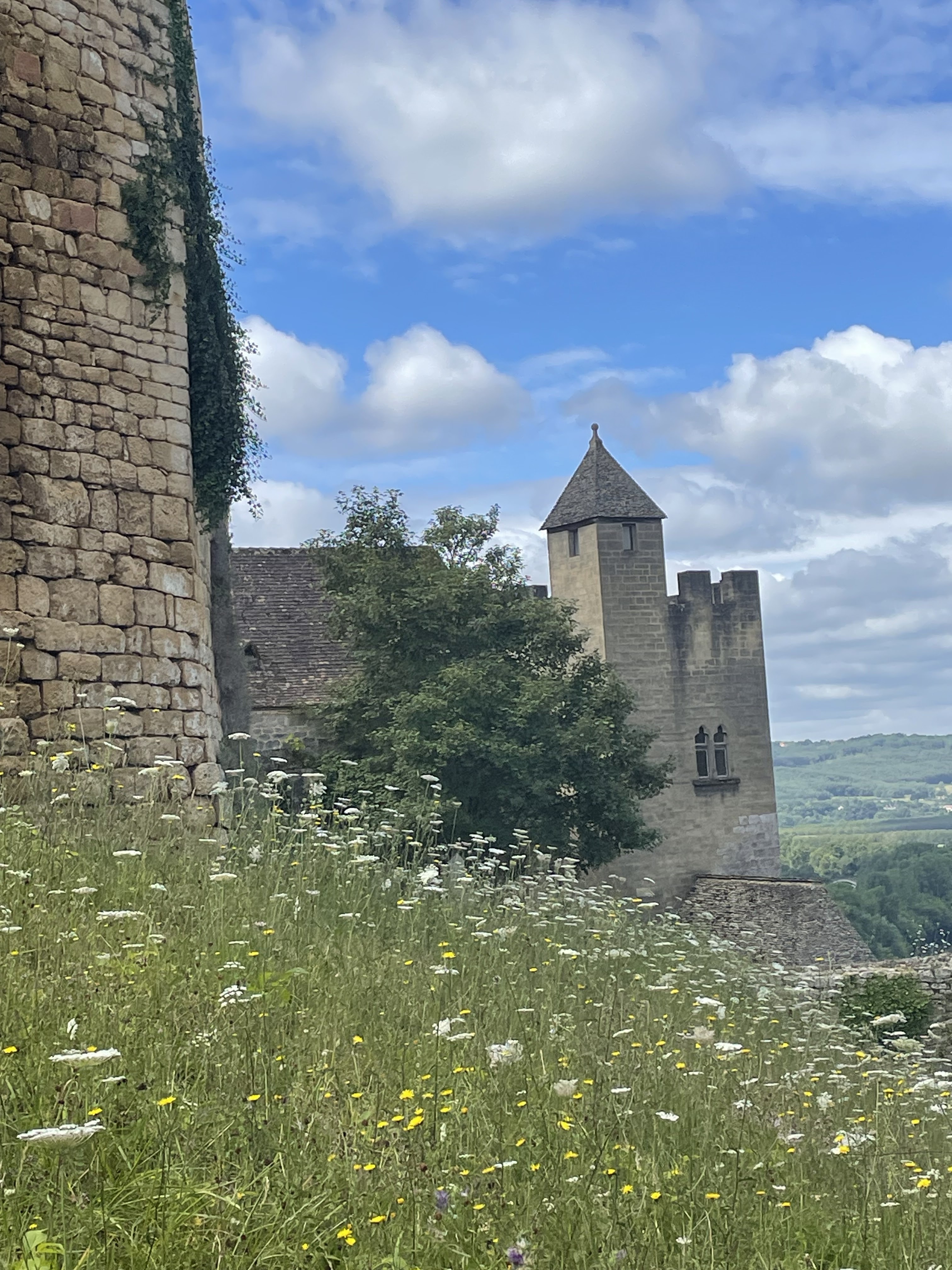 Photo n° 2 de l'avis de Muriel. fait le 28/07/2023 à 12:59