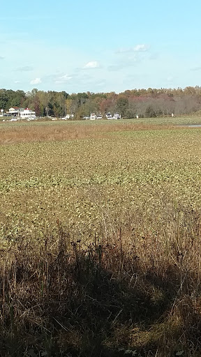 Park «Government Island», reviews and photos, 191 Coal Landing Road, Stafford, VA 22554, USA