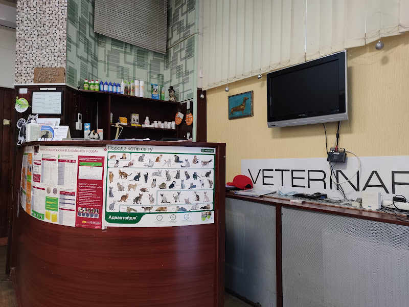 Велика Ведмедиця - 2