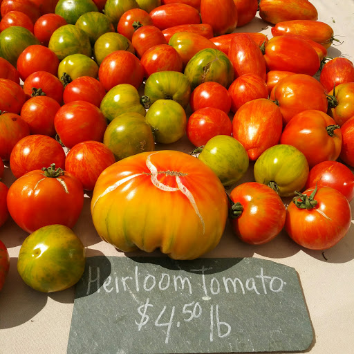 Shopping Mall «Saco Valley Shopping Center», reviews and photos, 4 Scamman St, Saco, ME 04072, USA