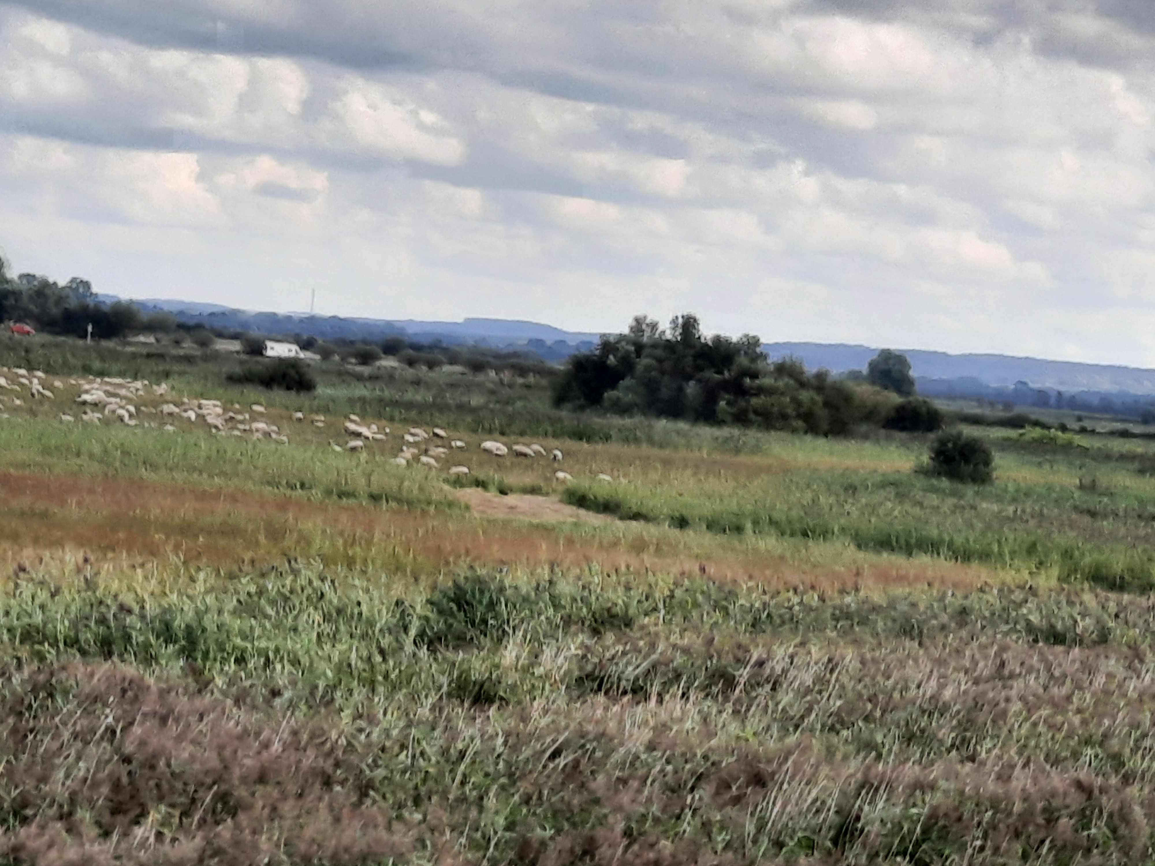 Photo n° 21 de l'avis de Marie.a fait le 09/09/2021 à 17:02