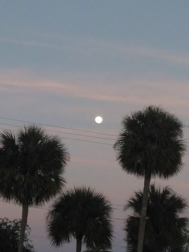 Shopping Mall «Promenade Shopping Plaza», reviews and photos, 9840 FL A1AAlt, Palm Beach Gardens, FL 33410, USA