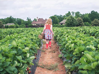 Springs Farm Market