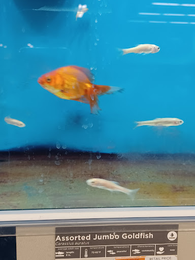 Pet Supply Store «Petco Animal Supplies», reviews and photos, 5263 Campbell Blvd, Nottingham, MD 21236, USA