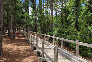 Driessen Beach Park Hilton Head Island Sc