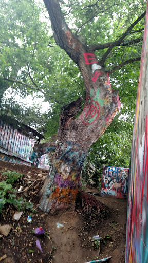 Art Gallery «HOPE Outdoor Gallery», reviews and photos, 1101 Baylor St, Austin, TX 78703, USA