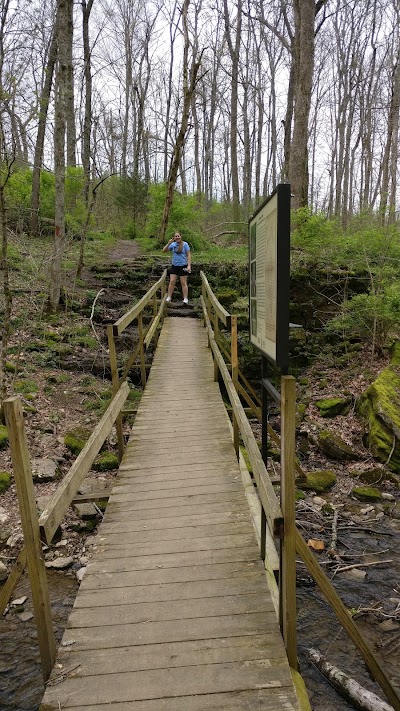 Photos of Jessamine Creek Gorge
