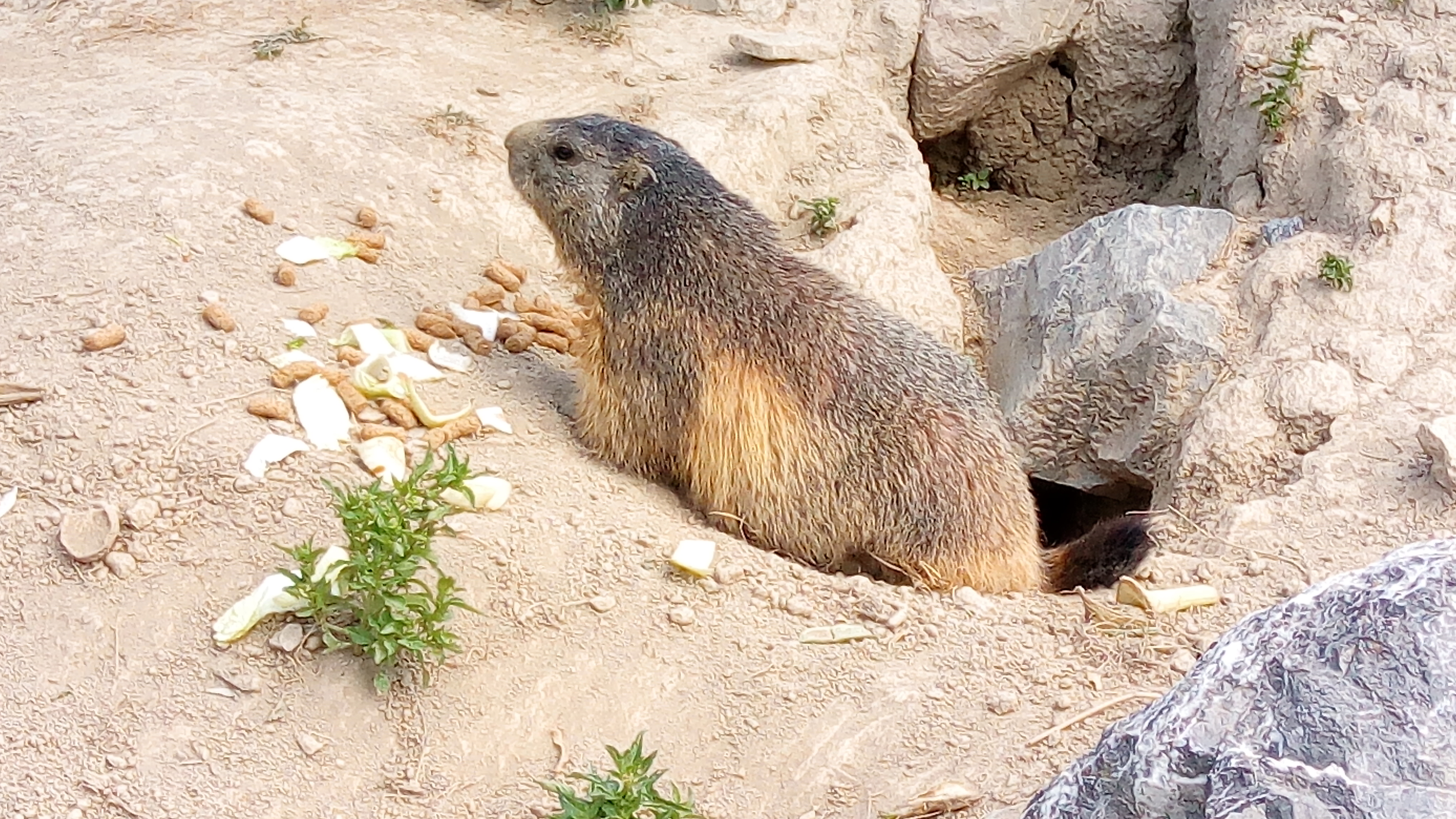 Photo n° 4 de l'avis de benoit.l fait le 27/07/2019 à 14:05