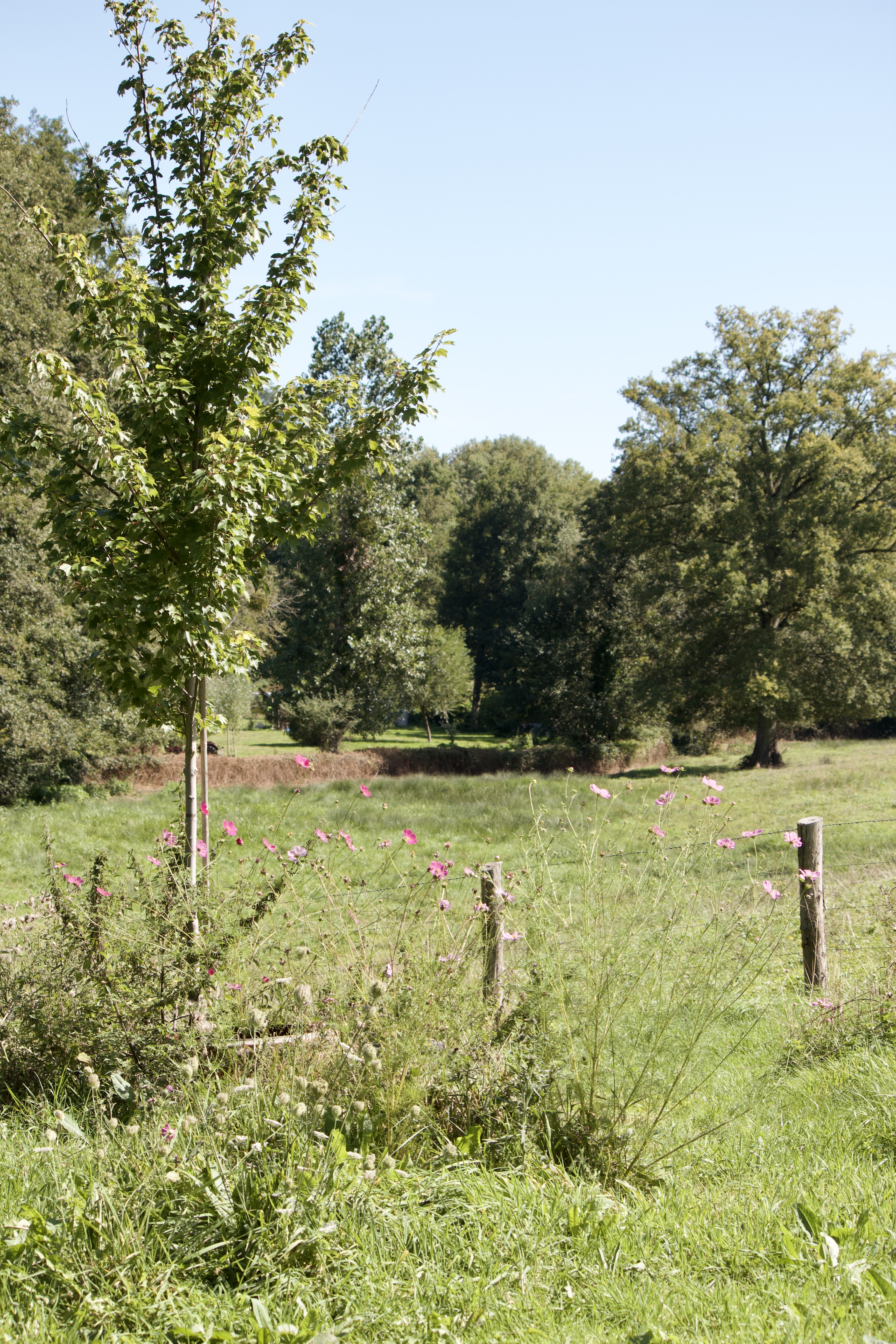 Photo n° 1 de l'avis de Blaise.h fait le 29/10/2023 à 17:25