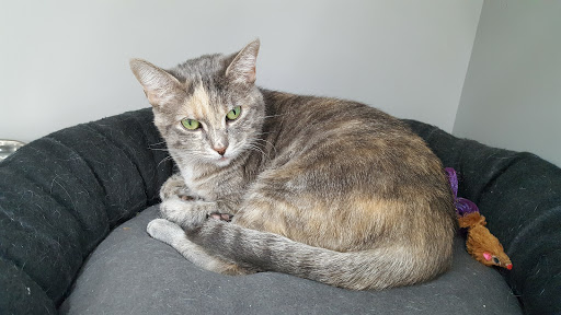 Pet Supply Store «Pet Supplies Plus», reviews and photos, 1433 E Main St, Owosso, MI 48867, USA