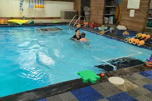 Kimswims Swimming Lessons image