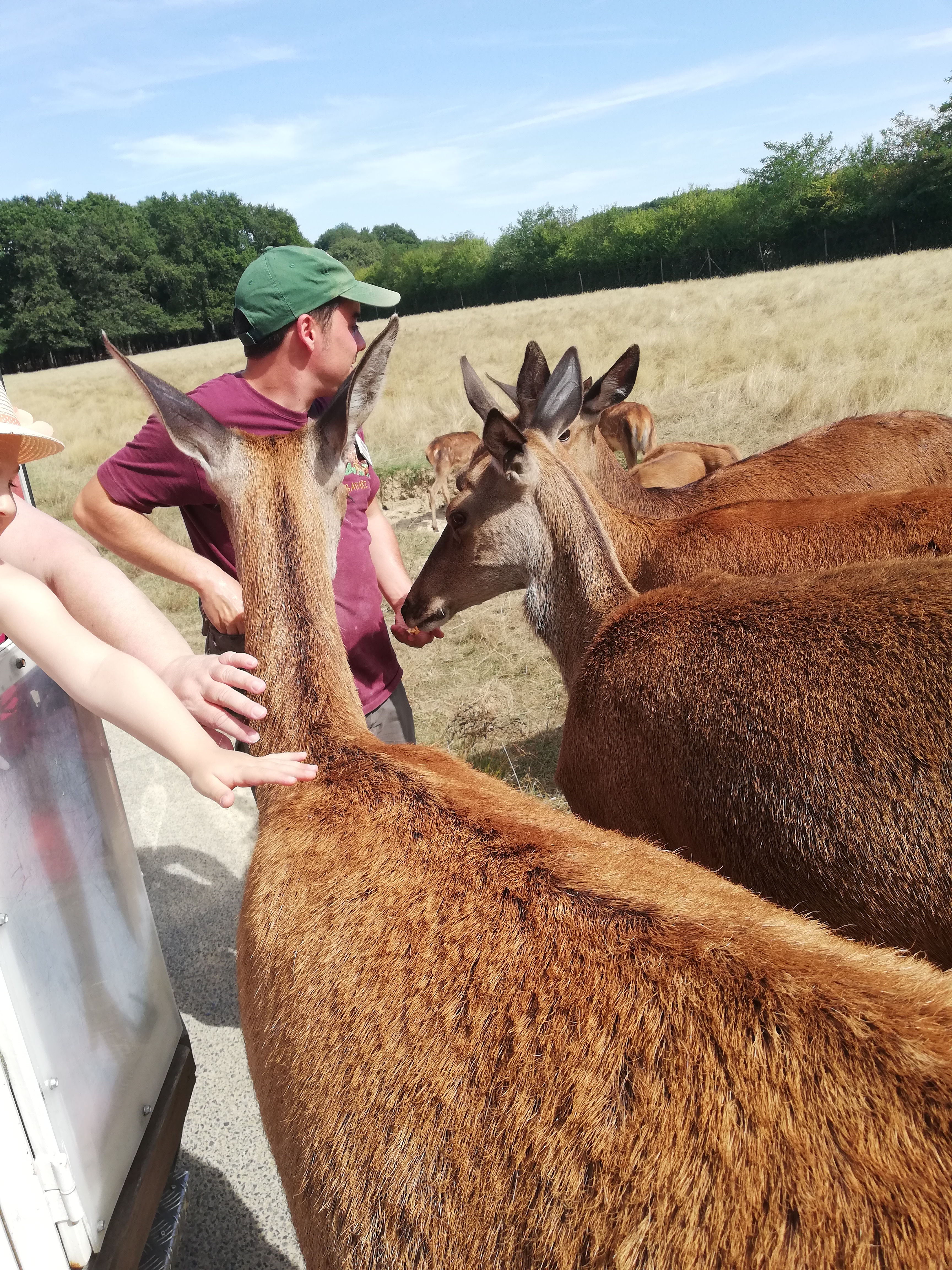 Photo n° 18 de l'avis de Severine.e fait le 23/08/2019 à 23:18