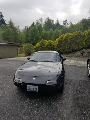 Park «Willard Wyatt Park», reviews and photos, 10508 Chapel Hill Rd, Lake Stevens, WA 98258, USA