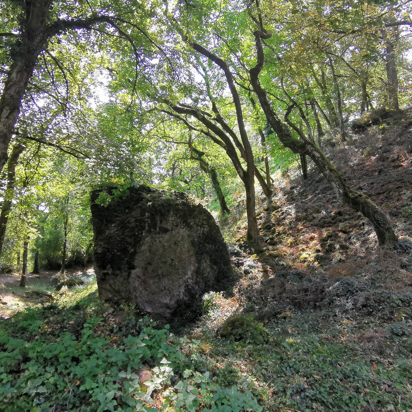 Photo n° 2 de l'avis de sylvain.e fait le 09/08/2020 à 15:13
