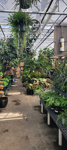 Florist «Bayport Flower Houses, Inc.», reviews and photos, 940 Montauk Hwy, Bayport, NY 11705, USA