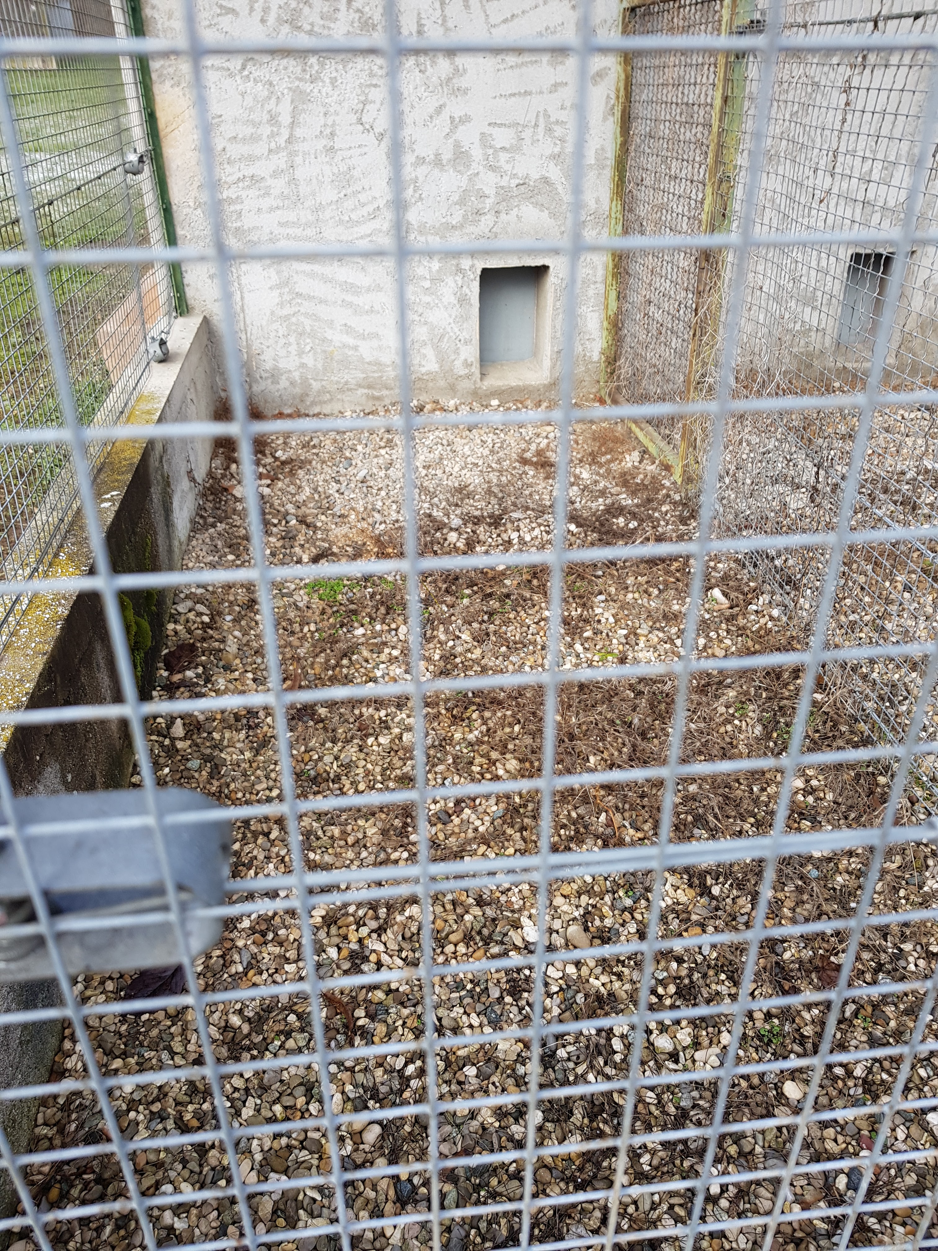 Photo n° 2 de l'avis de Jean-Patrick.O fait le 09/02/2019 à 13:03