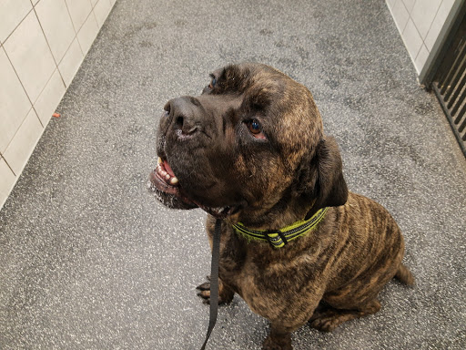 Pet Supply Store «Pet Supplies Plus», reviews and photos, 5555 Youngstown Warren Rd, Niles, OH 44446, USA