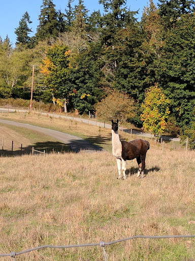 Winery «Comforts of Whidbey», reviews and photos, 5219 View Rd, Langley, WA 98260, USA