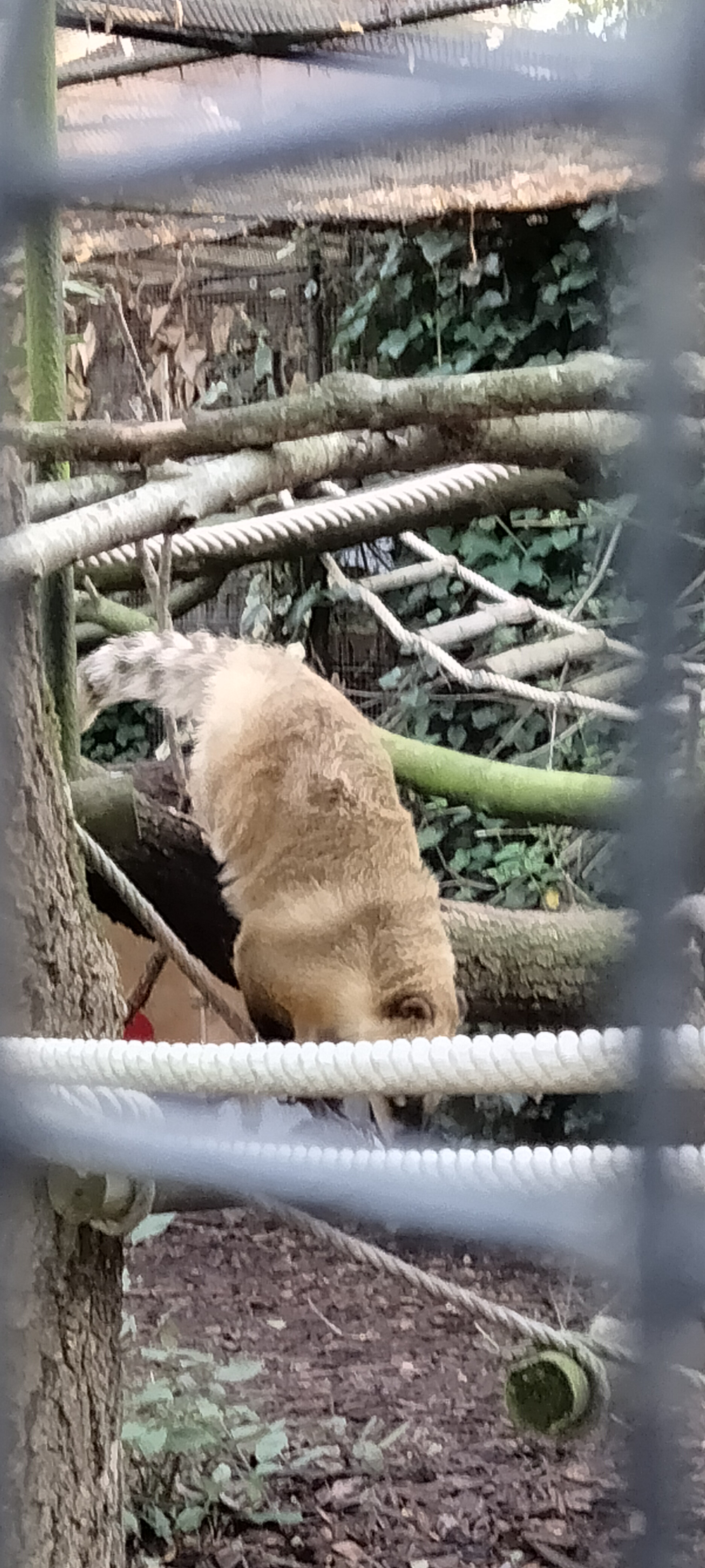 Photo n° 2 de l'avis de Sylvie.U fait le 07/11/2022 à 08:33