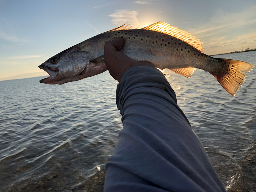 Canoe & Kayak Store «Austin Canoe & Kayak», reviews and photos, 4554 S Interstate Hwy 35, San Marcos, TX 78666, USA