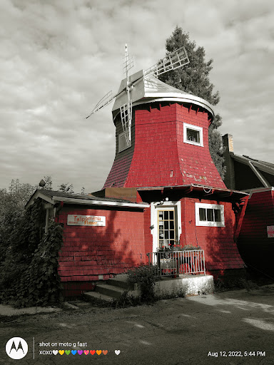 Florist «Tulipomania LLC», reviews and photos, 319 E Howard Ave, Milwaukee, WI 53207, USA