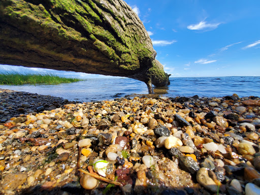 Historical Place «Fort Howard Park», reviews and photos, 9500 North Point Rd, Fort Howard, MD 21052, USA