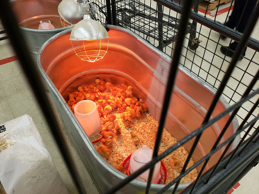 Home Improvement Store «Tractor Supply Co.», reviews and photos, 398 NJ-57, Washington, NJ 07882, USA