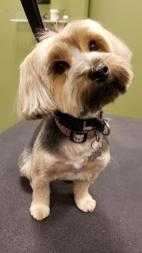 Pet Supply Store «EarthWise Pet Supply», reviews and photos, 4701 Bauer Farm Drive b, Lawrence, KS 66049, USA