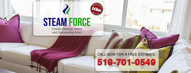 Steam Force Ltd