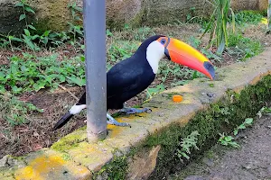 Zoo Municipal São Bernardo Do Campo image