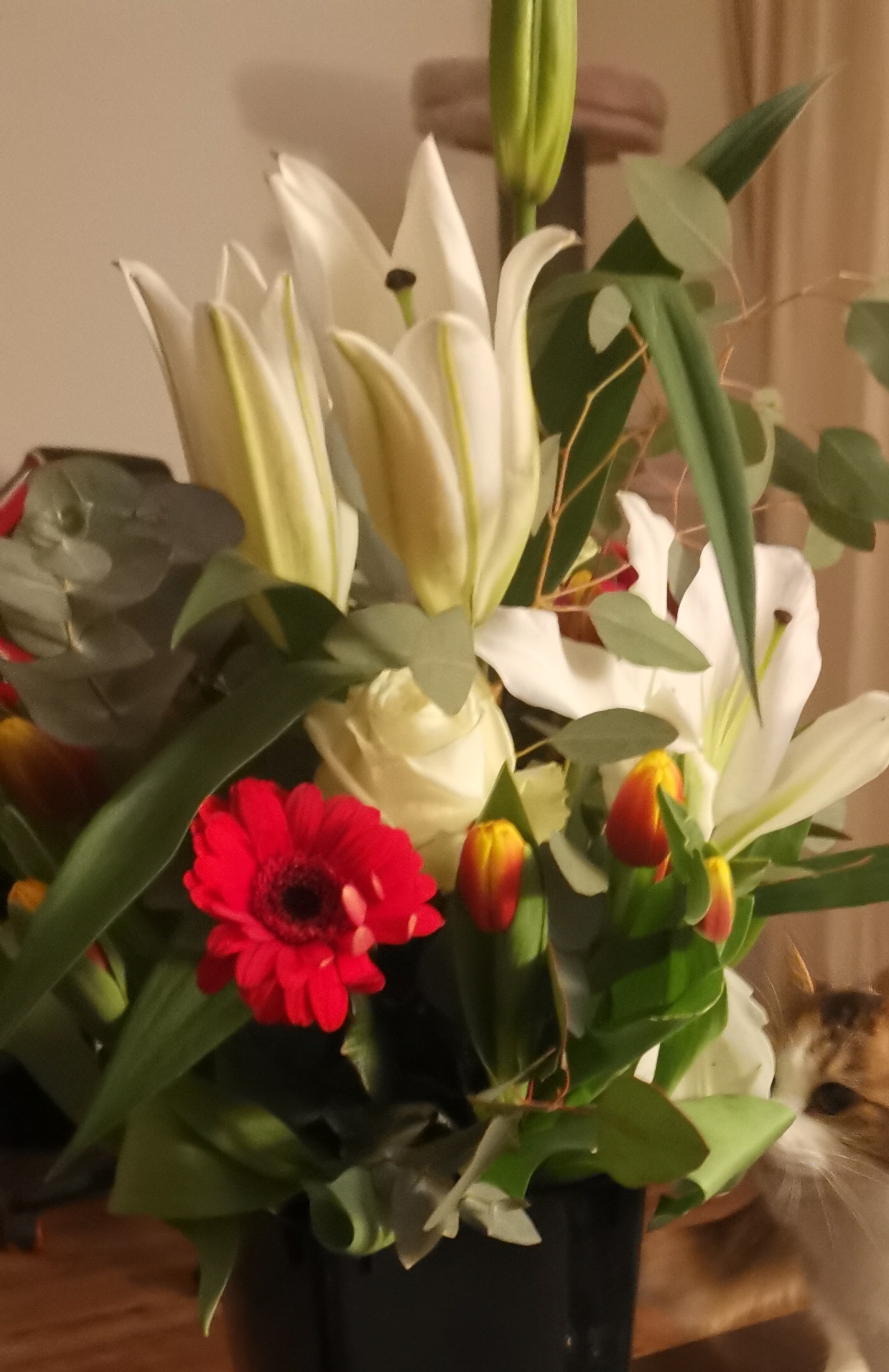 Photo n° 1 de l'avis de f. fait le 16/03/2023 à 18:29