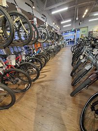 Conte's Bike Shop - Photo 5 - Car repair in Virginia Beach, VA, Virginia Beach