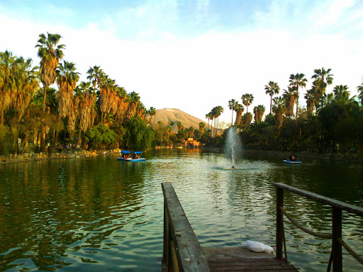 Tourism courses in Tijuana