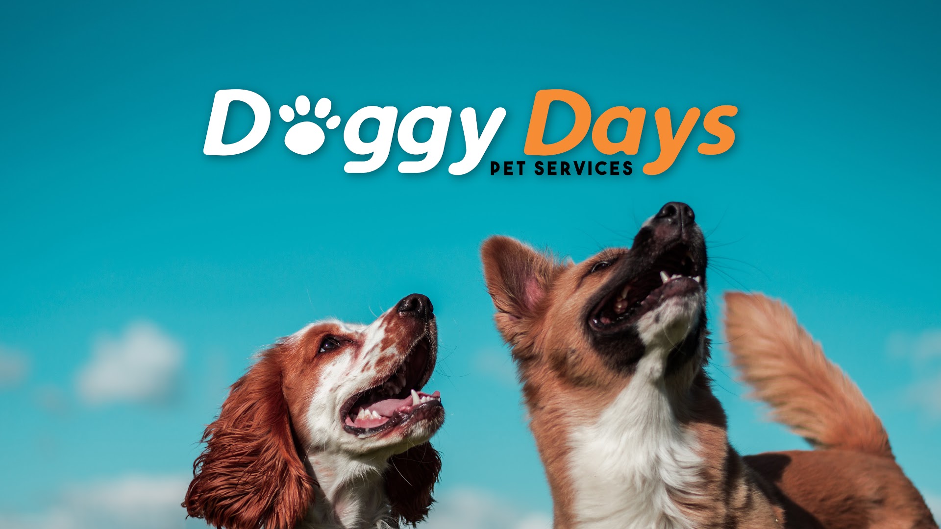 Doggy Days Pet Services