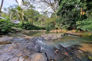 Uthumun Ella Waterfall image