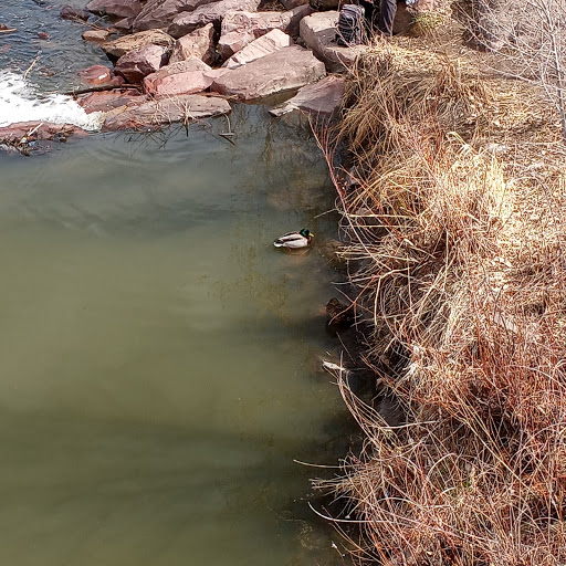 Park «Confluence Park», reviews and photos, 2250 15th St, Denver, CO 80202, USA
