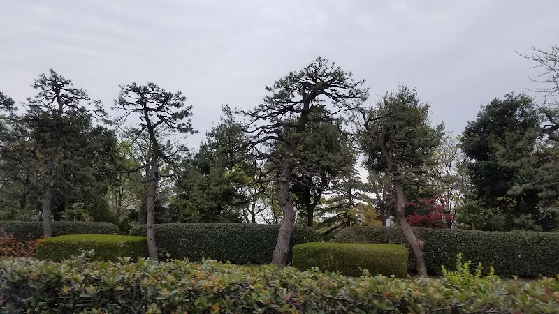押野松の木公園