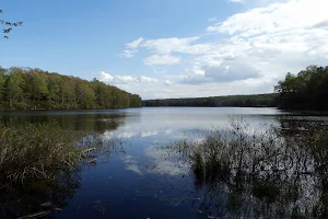 Babcock Pond Wildlife Management Area image