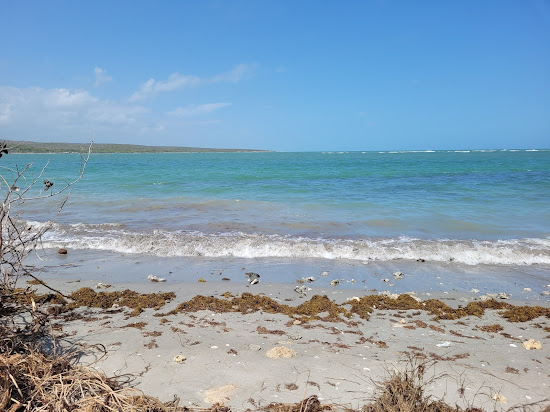 Playa Ballena