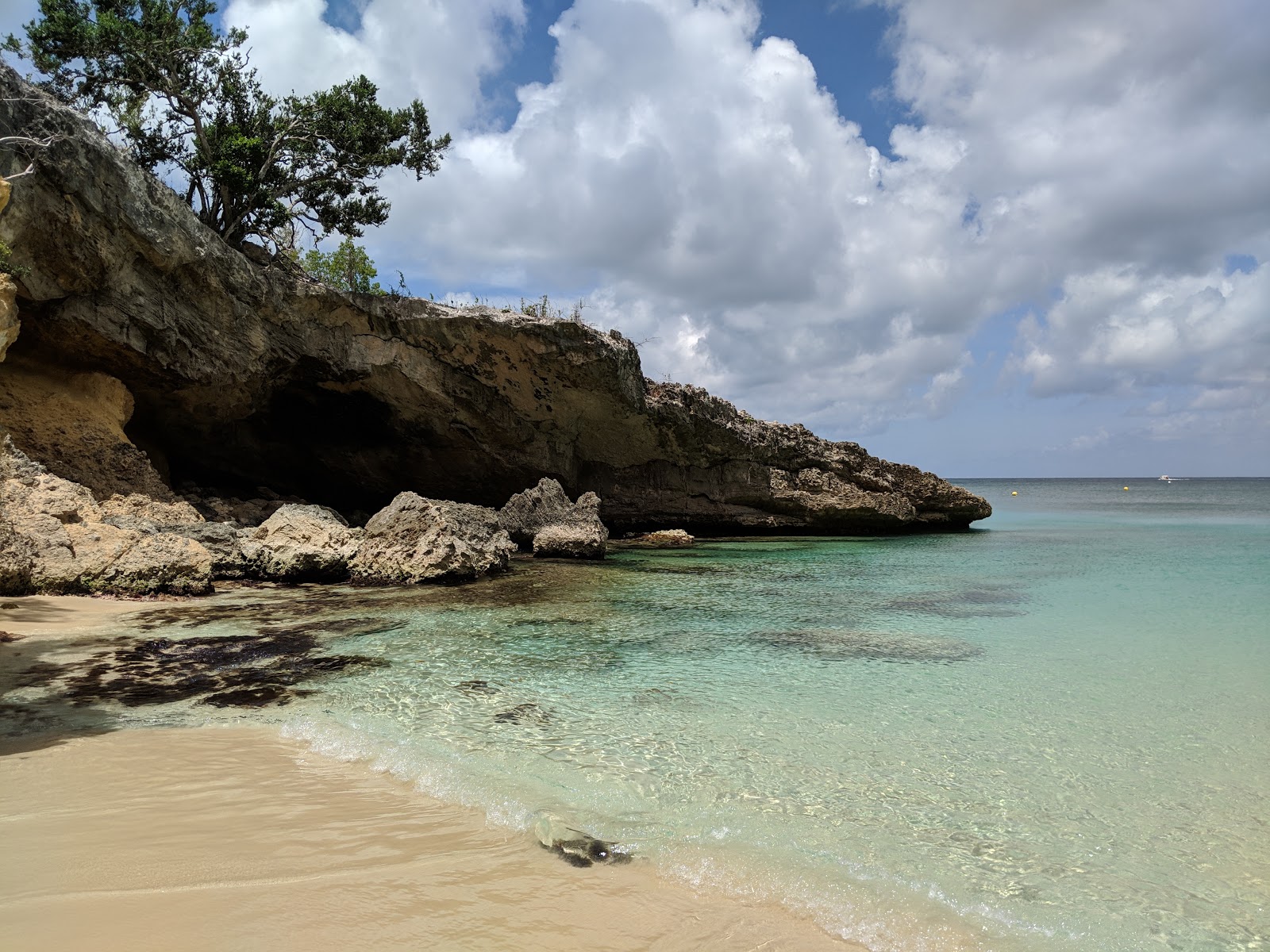 Little Bay beach'in fotoğrafı doğal alan içinde bulunmaktadır