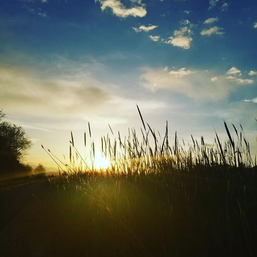 Park «Mitchell Hollow Park», reviews and photos, 6400 W 10250 N, Highland, UT 84003, USA