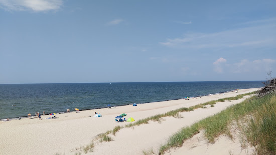 Rosa beach