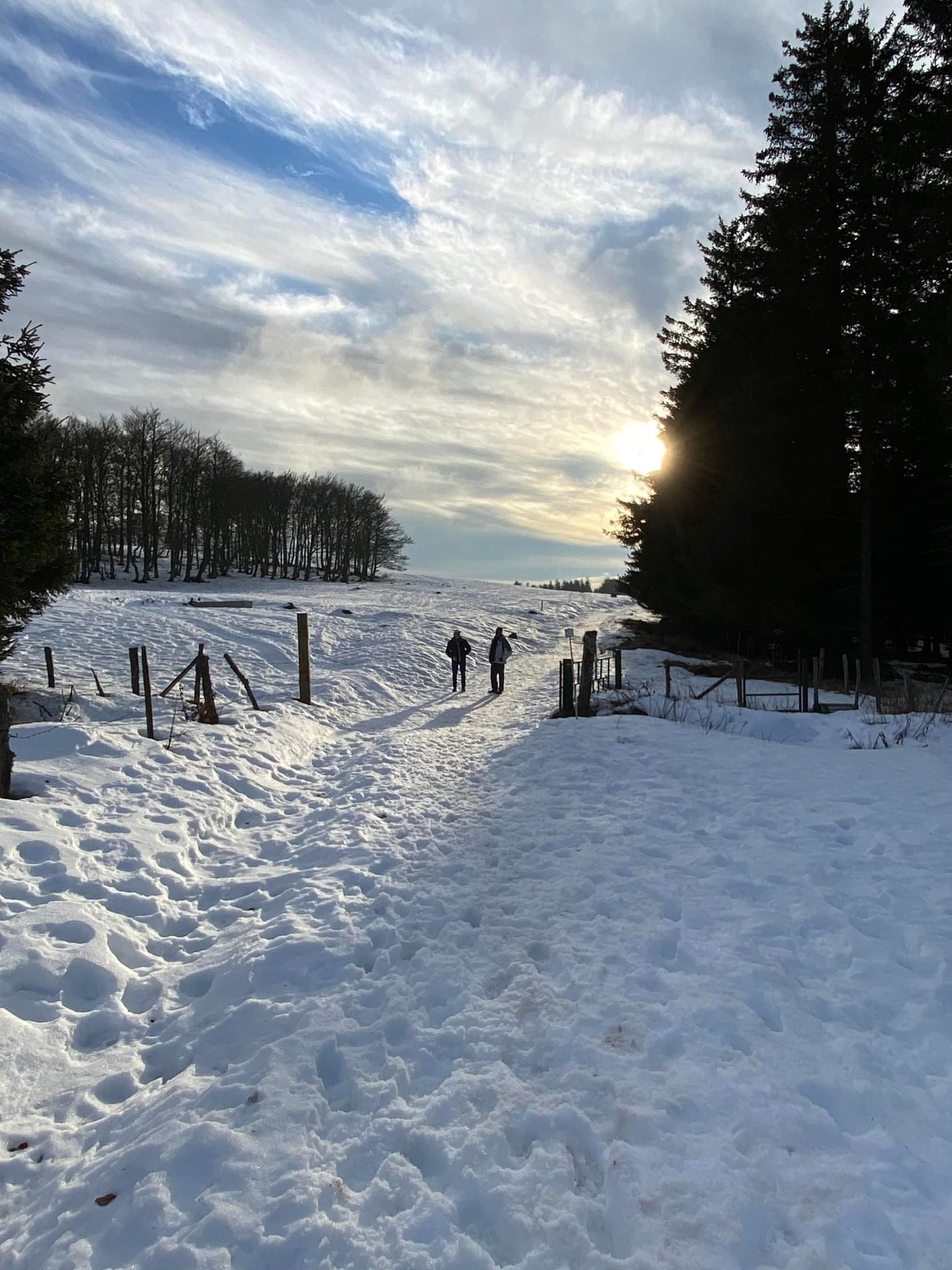 Photo n° 4 de l'avis de Marie.l fait le 13/12/2022 à 17:30