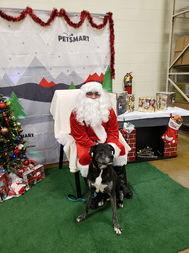 Pet Supply Store «PetSmart», reviews and photos, 20530 E 13 Mile Rd, Roseville, MI 48066, USA