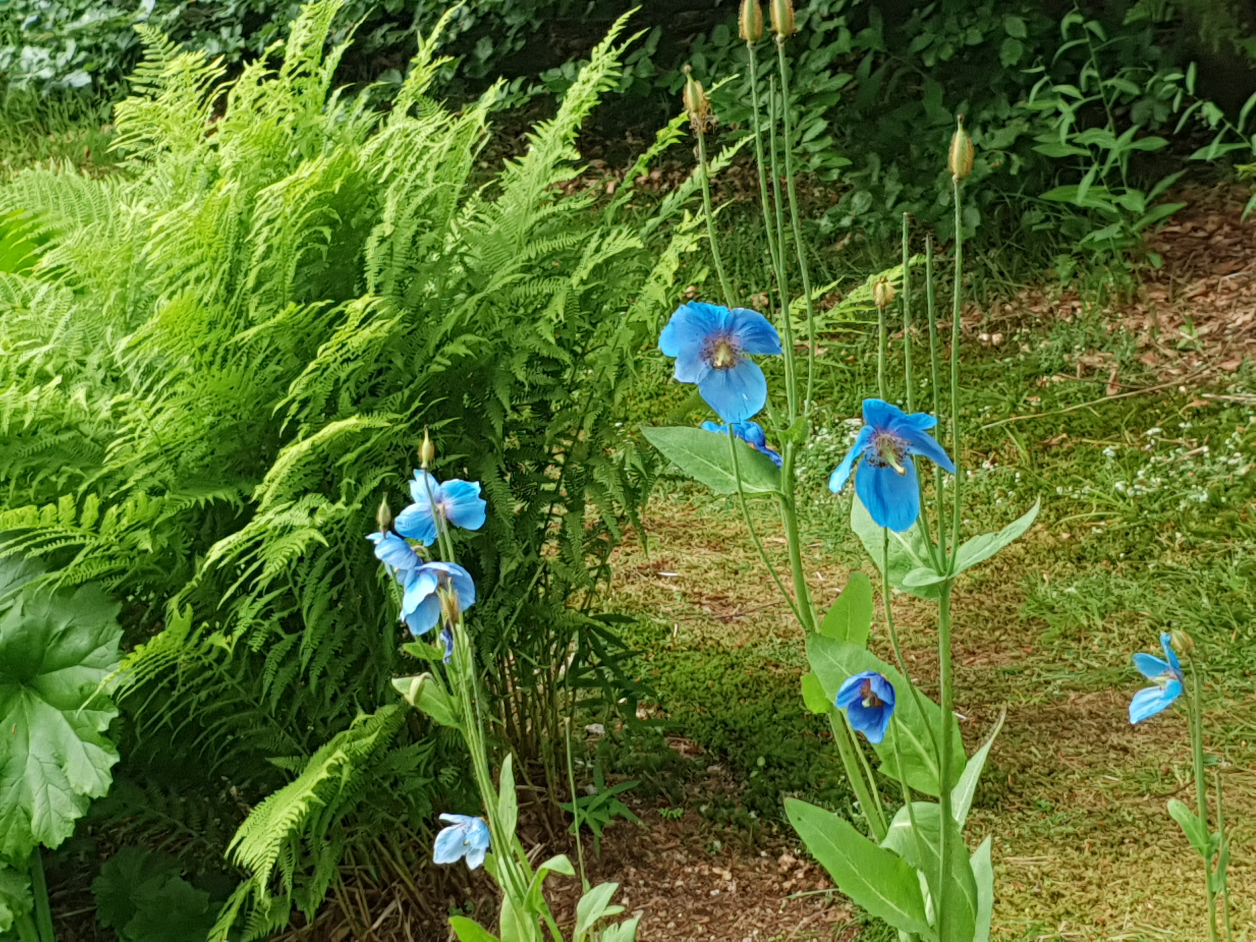 Photo n° 9 de l'avis de SYLVIE.A fait le 29/06/2023 à 20:48