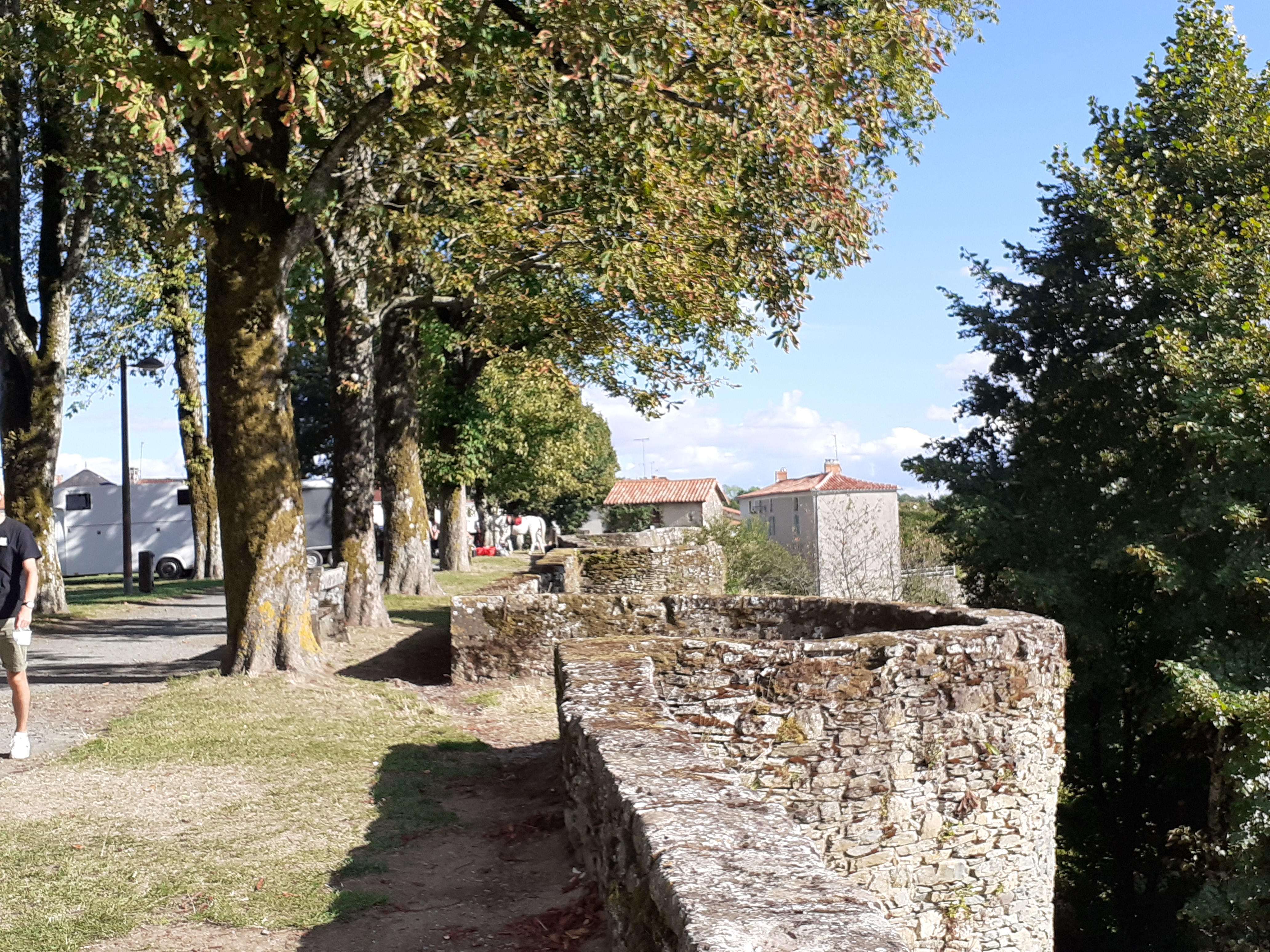 Photo n° 13 de l'avis de Gilles.a fait le 23/08/2020 à 22:04