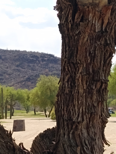 Golf Course «The 500 Club», reviews and photos, 4707 W Pinnacle Peak Rd, Glendale, AZ 85310, USA